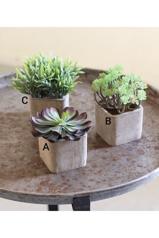 SMALL ARTIFICIAL SUCCULENTS IN SQUARE POTS