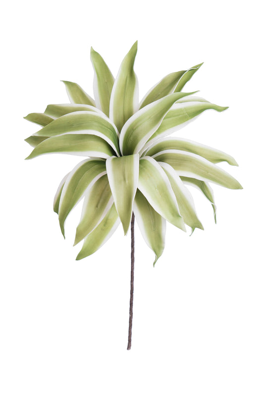 SPIKEY GREEN & WHITE STRIPPED FLORAL STEM