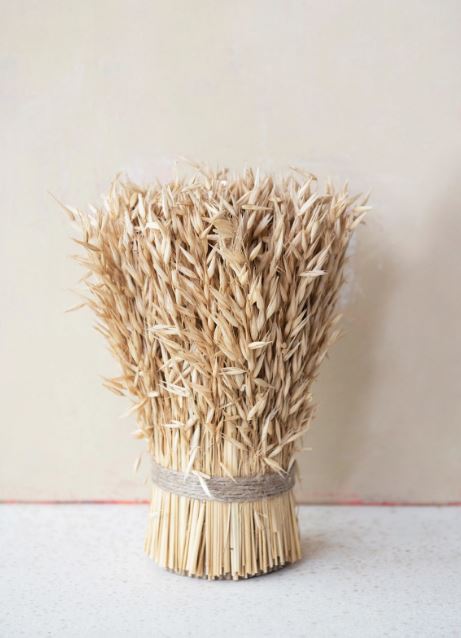 DRIED NATURAL HARVEST GRASS