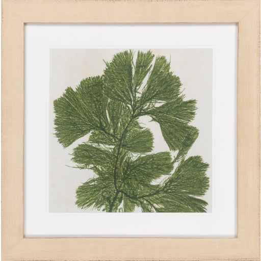 FRAMED PLANT WALL DECOR