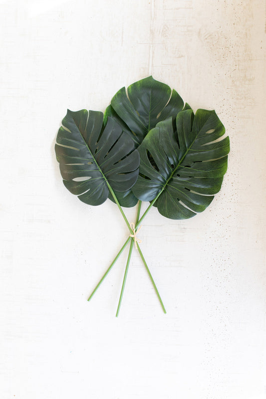 MONSTERA LEAF BUNDLES