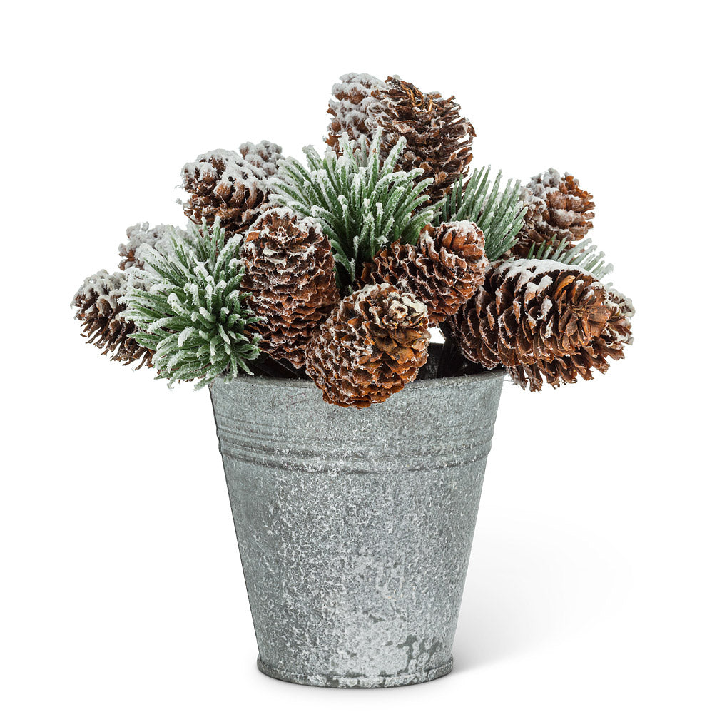 SNOWY PINECONES IN PAIL